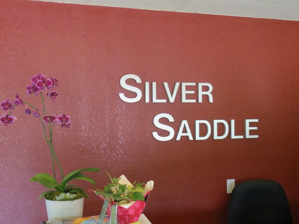 מניטו ספרינגס Silver Saddle Motel מראה חיצוני תמונה